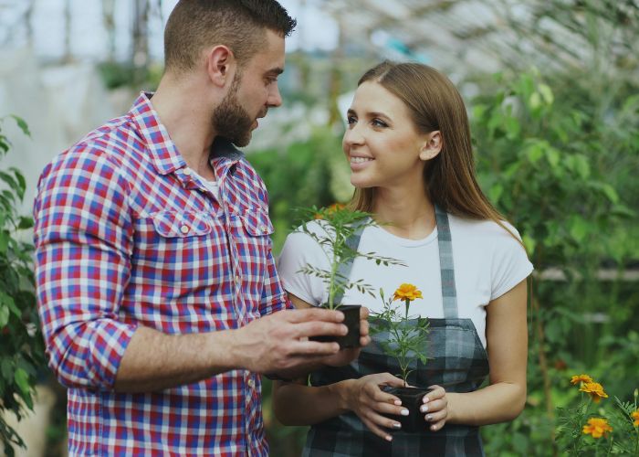 Couple Gardening Together And Holding Potted Flowers In A Greenhouse.