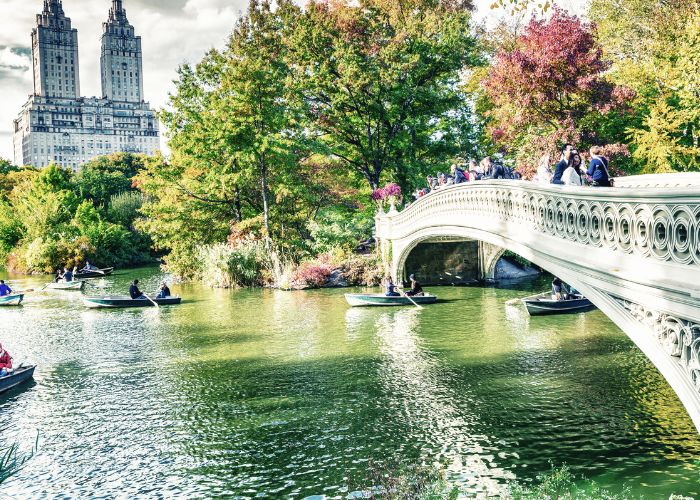 Central Park, New York City