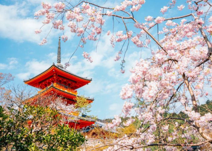 Kyoto